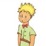 Profile picture of Bubu840