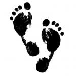 Profile picture of Elistoff